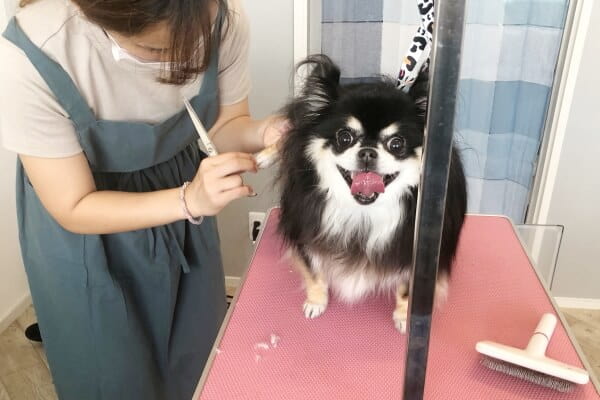 trimming salon DOG＆..._3