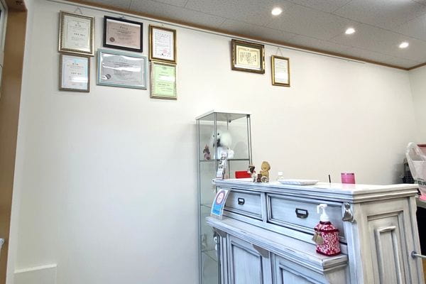 dog salon Rosa_1