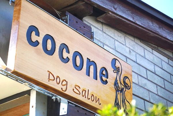 Dog salon cocone_1