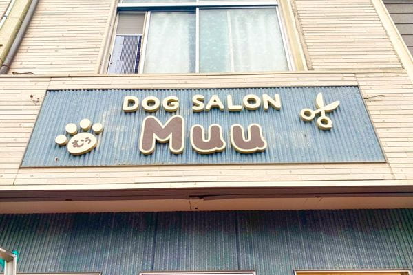 DOGSALON Muu