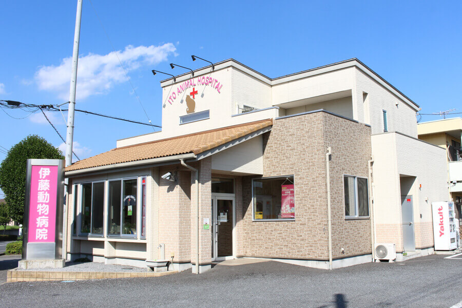 伊藤動物病院 野田分院(トリミング)