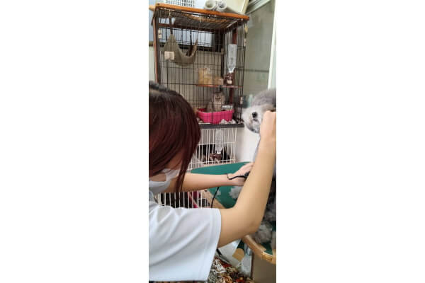 森ペット