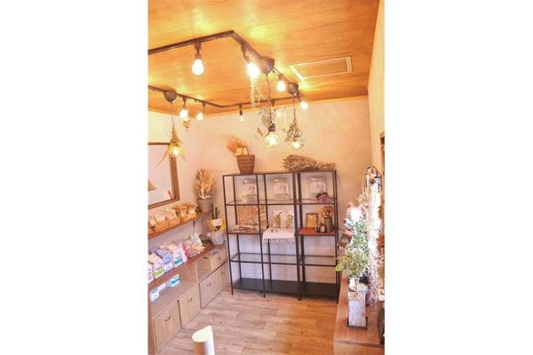 Dog Salon ARIA_2