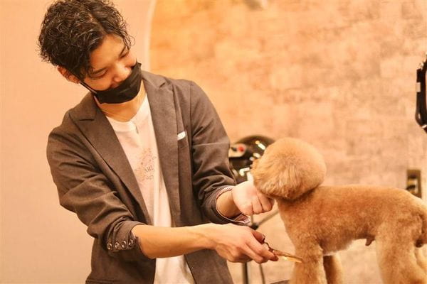 Dog Salon ARIA_4