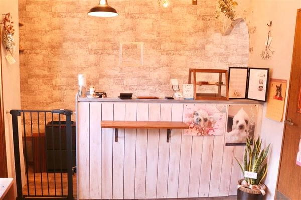 Dog Salon ARIA_1