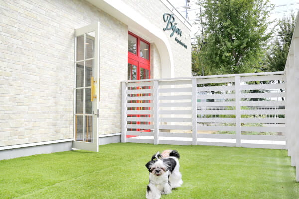 Bijou dogsalon＆hotel_1