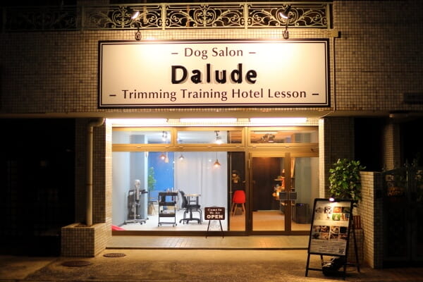 Dalude