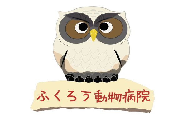 ふくろう動物病院(トリミング)