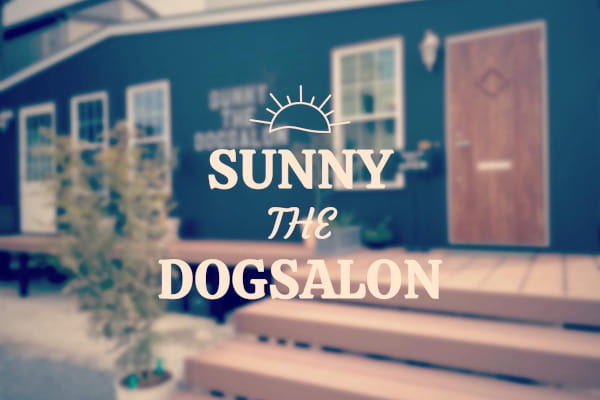 SUNNY THE DOGSALON