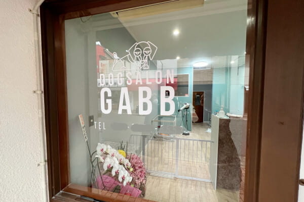 DOGSALON GABB_2