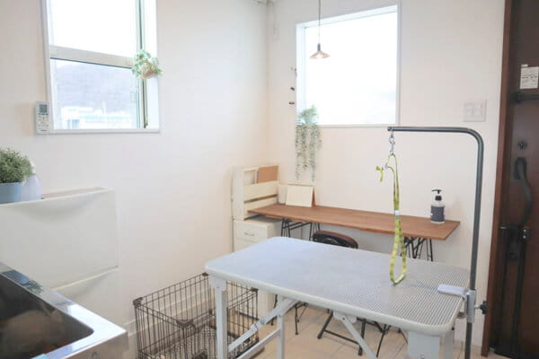 dog salon trim_1