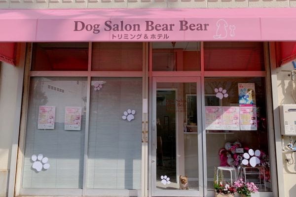 Dog Salon Bear Bear