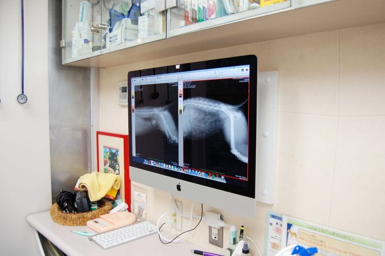 EPARKペットライフ動物病院_9