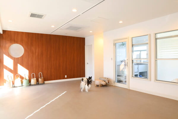 pet salon pun_4