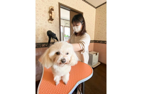 ふわポノ_1