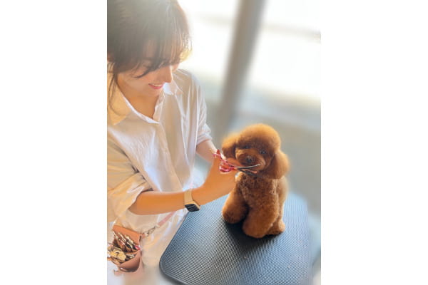 dog all care Bebe