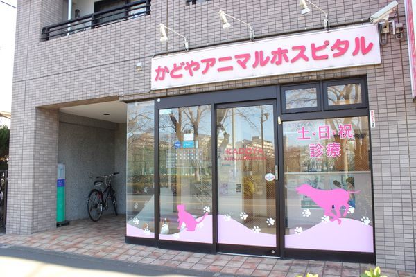かどやアニマルホスピタル