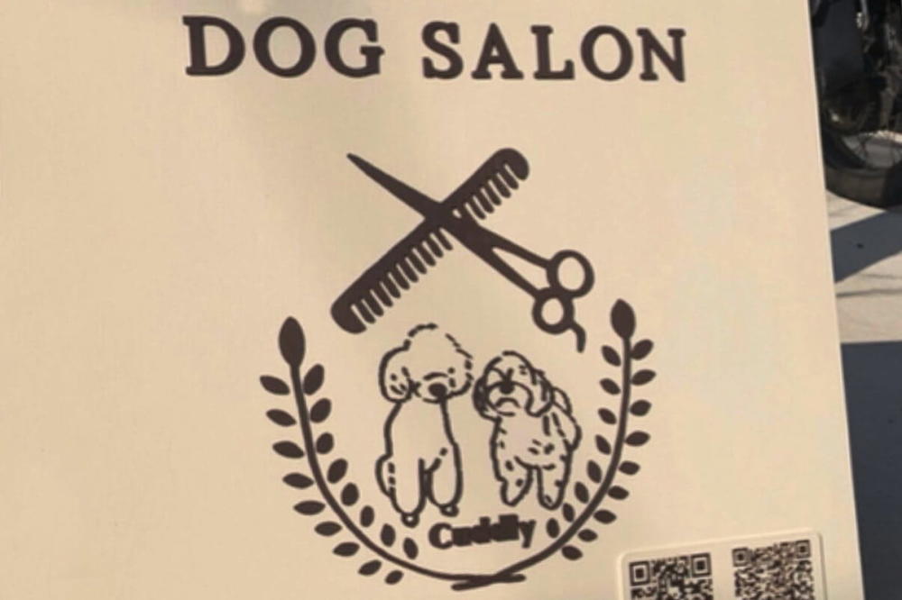 DOG SALON Cuddly