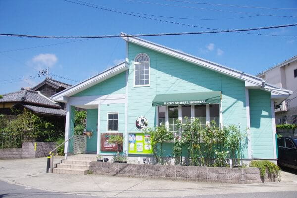 リッキー動物病院