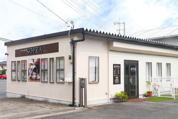 SOPRA GINZA 川島インター店