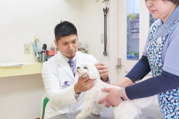 横浜りゅう動物病院_3