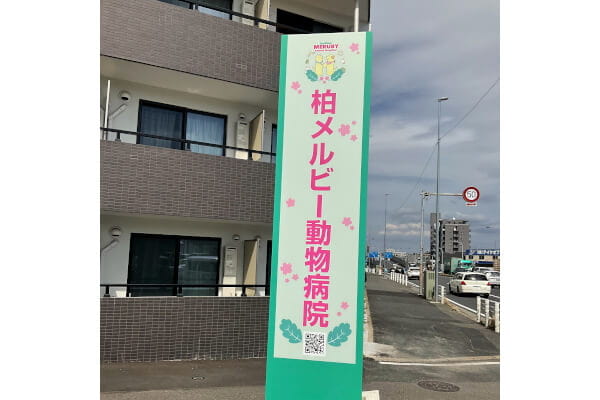 柏メルビー動物病院_6