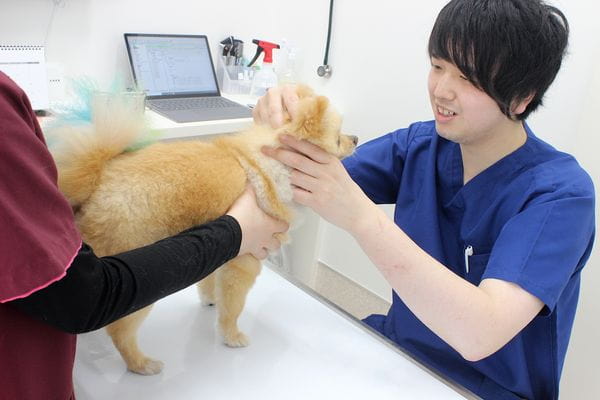 クロス動物医療センター青井_5