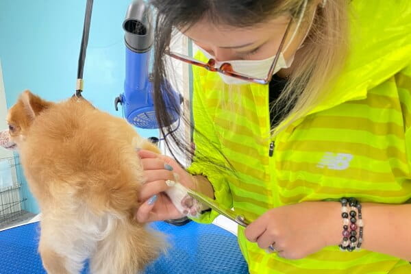 DOG SALON La・La_4