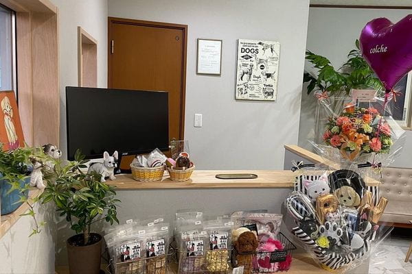 dogsalon colche津幡店_2