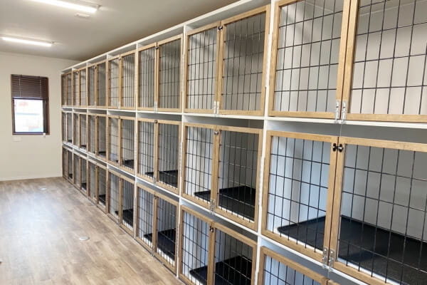 THE DOG HOTEL_4