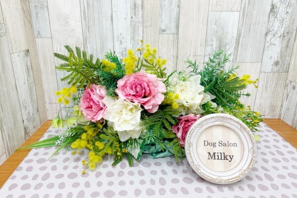 Dog Salon Milky_2