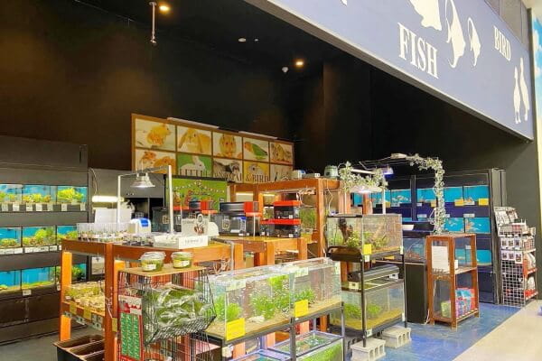 ディスワン 湘南平塚店_1