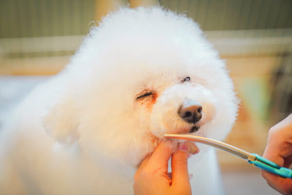 パニパニハウス_4