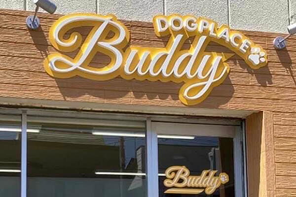 DOG PLACE Buddy