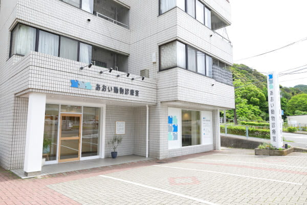 あおい動物診療室