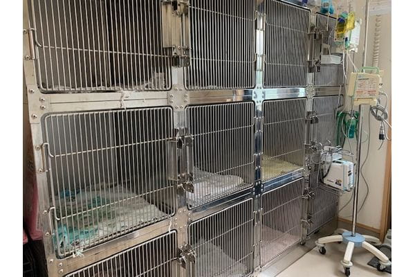 のざわ動物病院_5