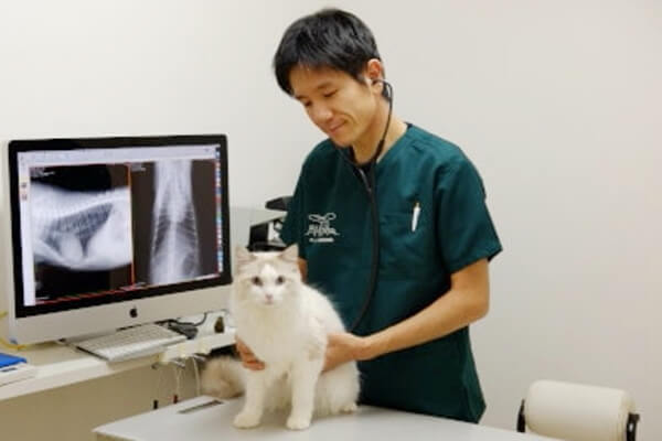 ポックル動物病院_1
