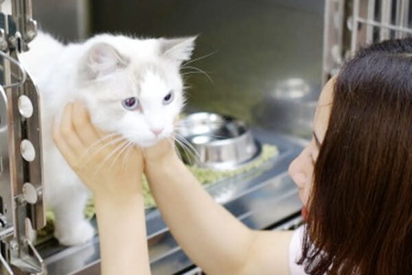 ポックル動物病院_7