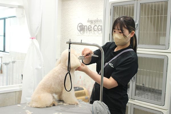 One care 南麻布_4