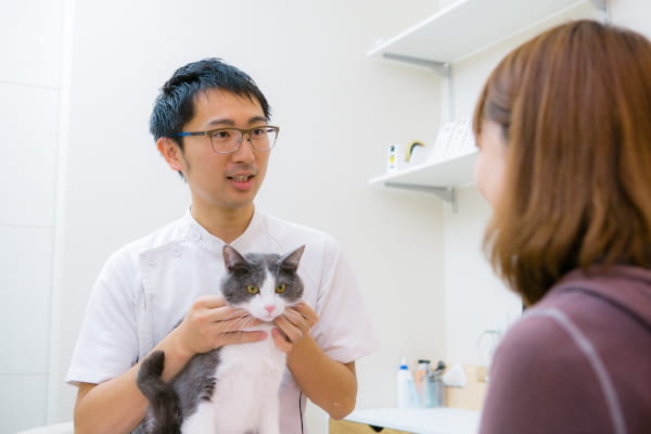 乙訓どうぶつ病院