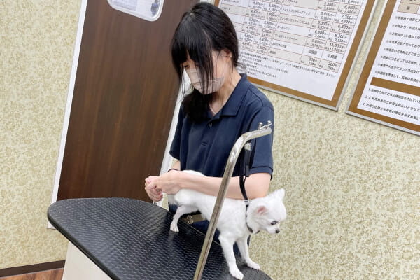 ペットコート瑞穂店_1