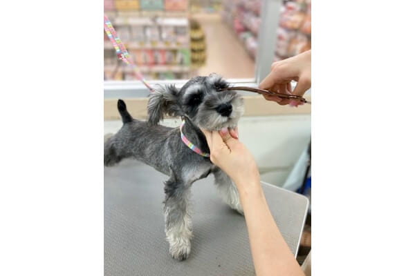 ペットワイド平和台店_3