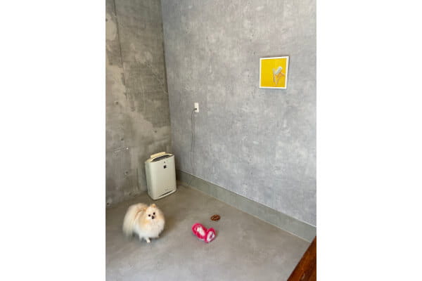 Queen’s Spa + 大島駅前店_2
