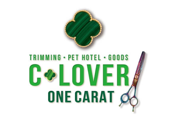 One Carat Clover_1
