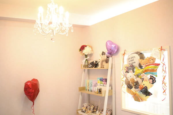 Dog salon La laine