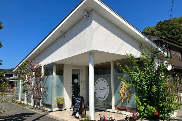 petsalon Anello