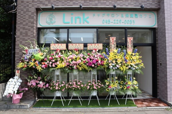 Link