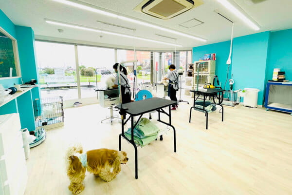 kuskus川越店_1