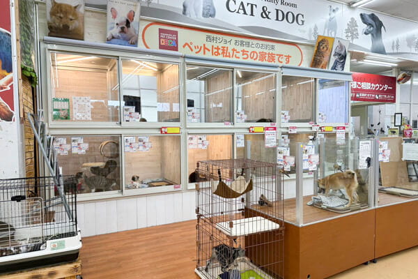 西村ジョイ丸亀店