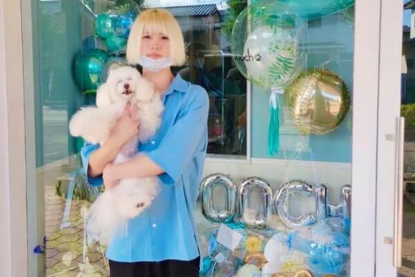 dog salon pooch